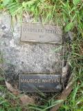 image of grave number 504672